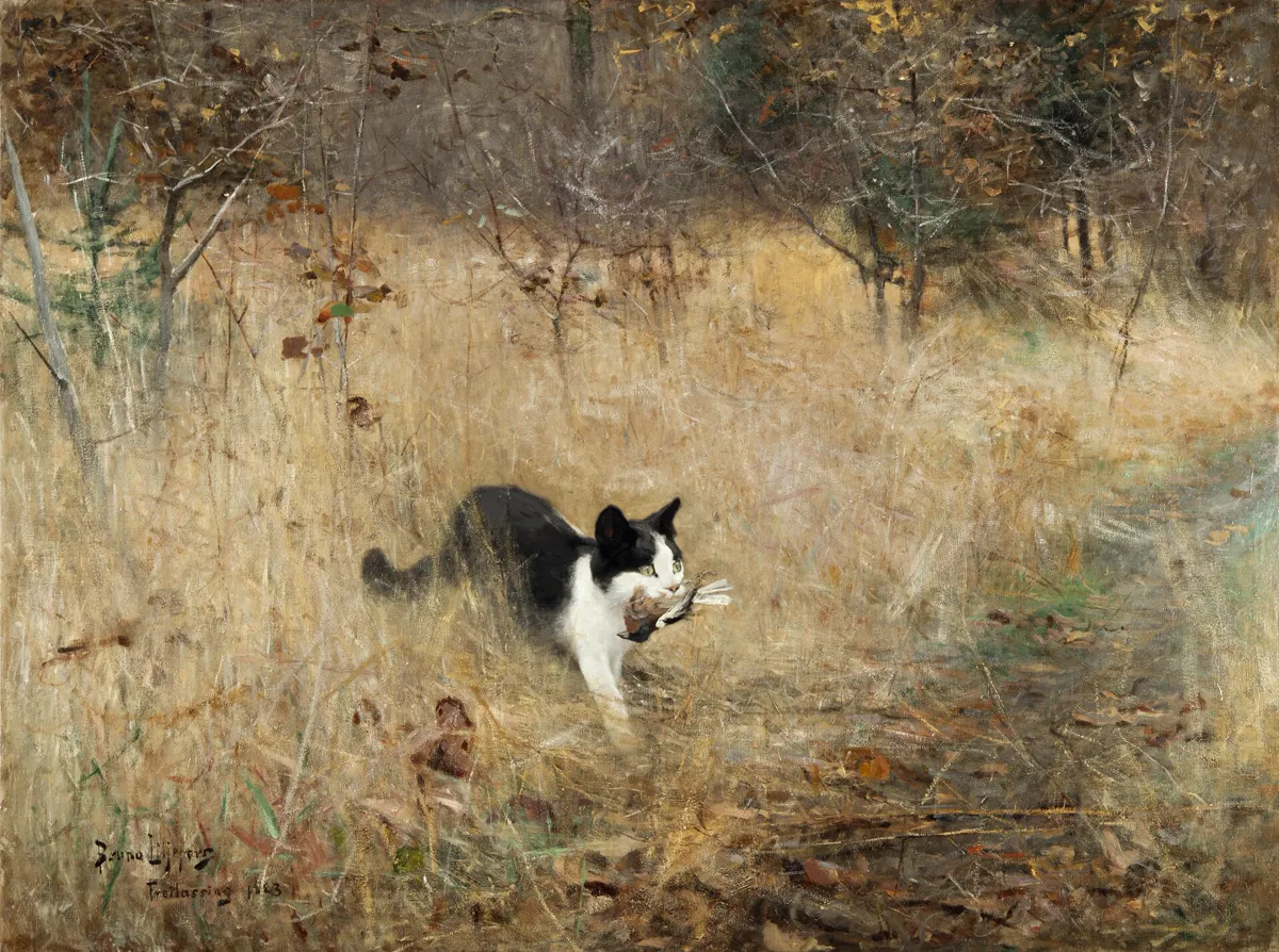 Katze beim Pirschen